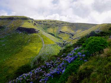 azores-3713859_listing_1616492438487.jpeg