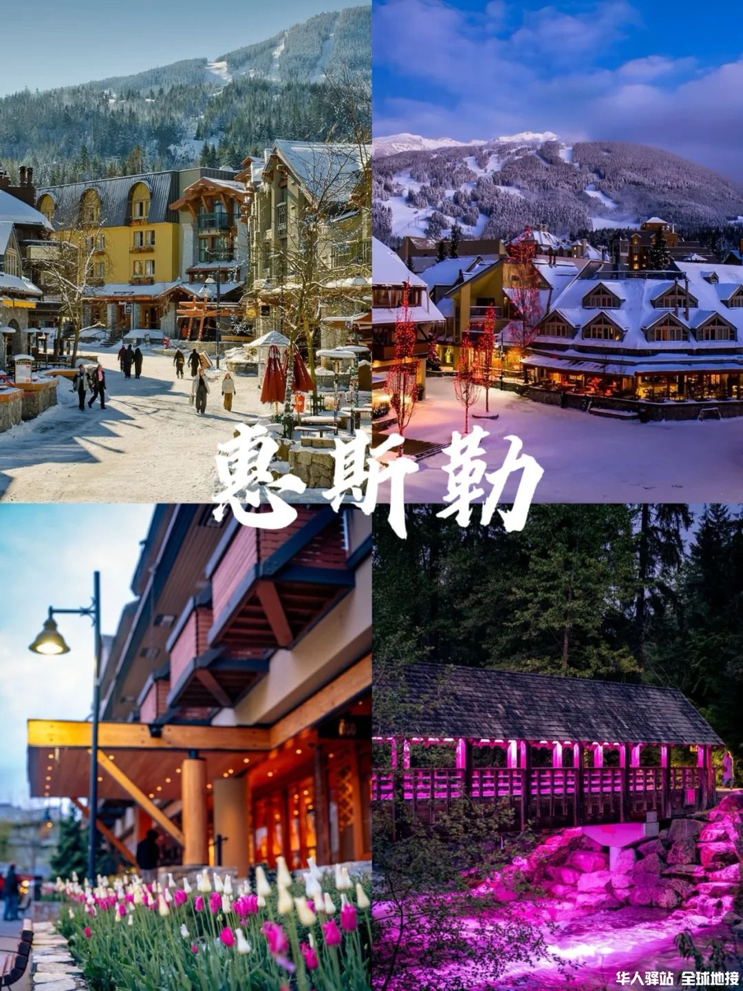 这次包车游选对啦｜解锁温哥华旅行新体验1.jpg